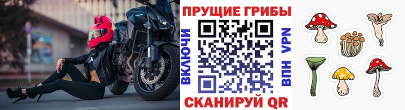 Галлюциногенные грибы ЛСД  Купить  Ядрин 