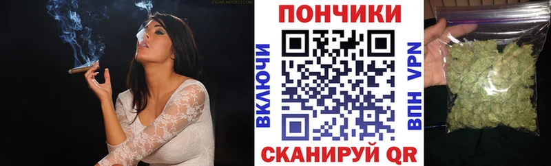 Купить где Ядрин Канабис ГИДРОПОН